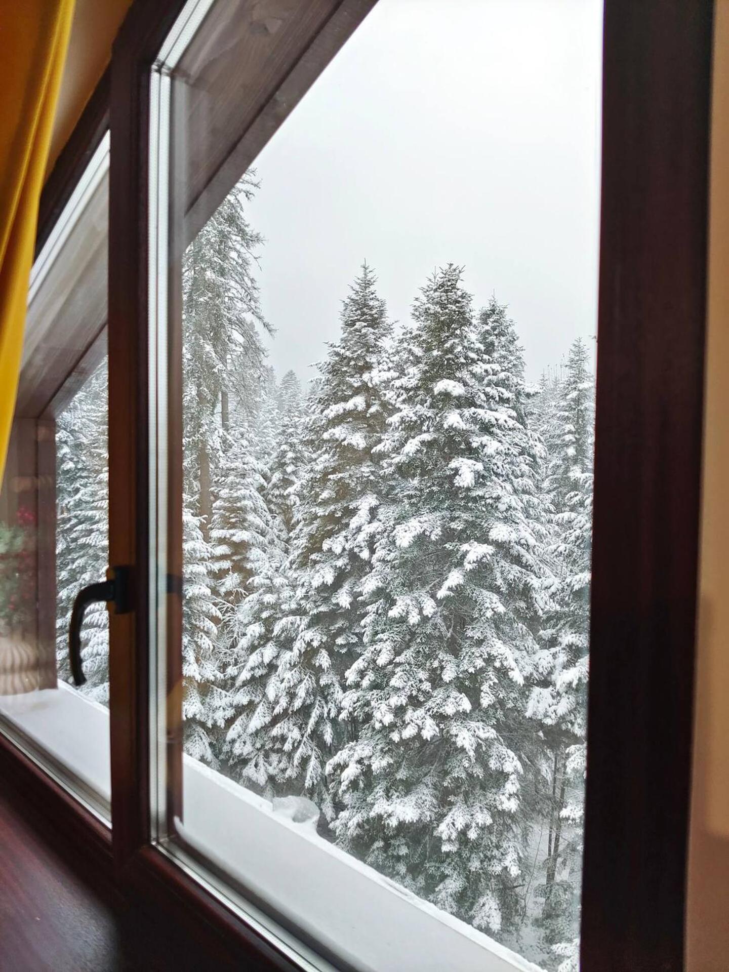Borovets Dream Studio Exterior photo